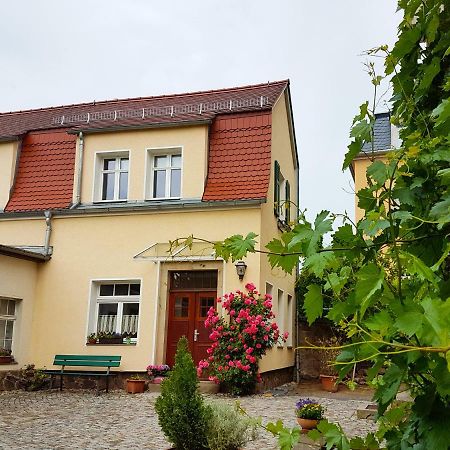 Ferienhaus Mühlberg Villa Radebeul Exterior foto